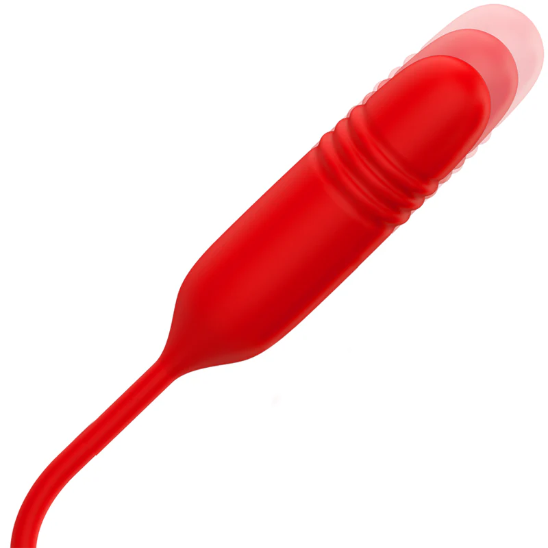 Imagem do produto 4